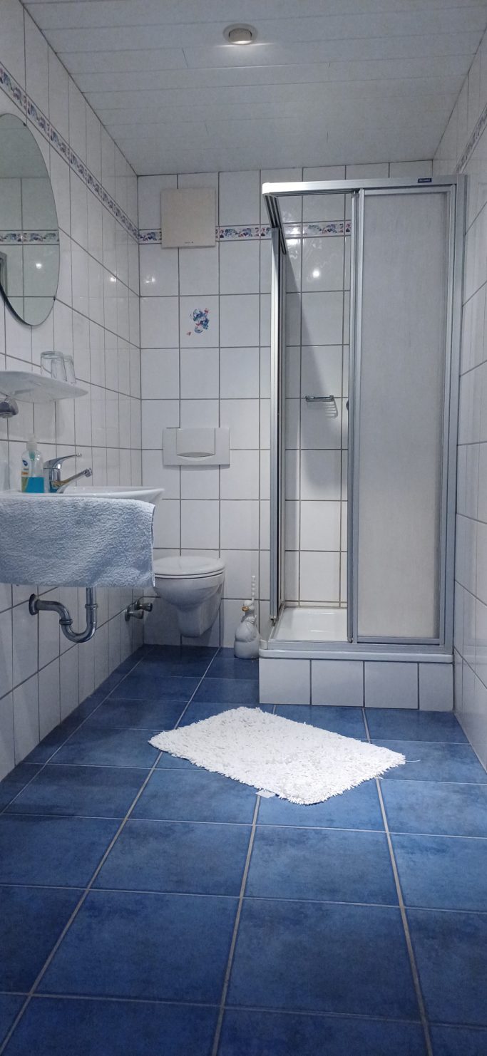 Badezimmer mit Dusche, Waschbecken, WC und blauem Fliesenboden.