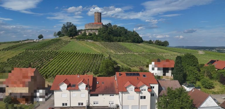 Gästehaus am Weinberg in Weiler Landschaft mit Weinbergen, einem Dorf und einer Burg auf einem Hügel im Hintergrund.