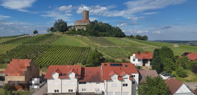 Landschaft mit Weinbergen, einem Dorf und einer Burg auf einem Hügel im Hintergrund.